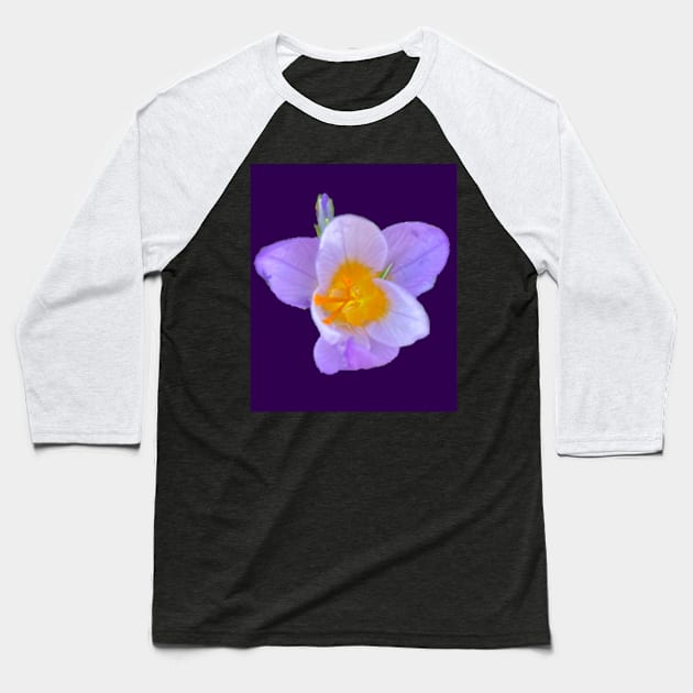 First Crocus of 2022 (purple background) Baseball T-Shirt by Amanda1775